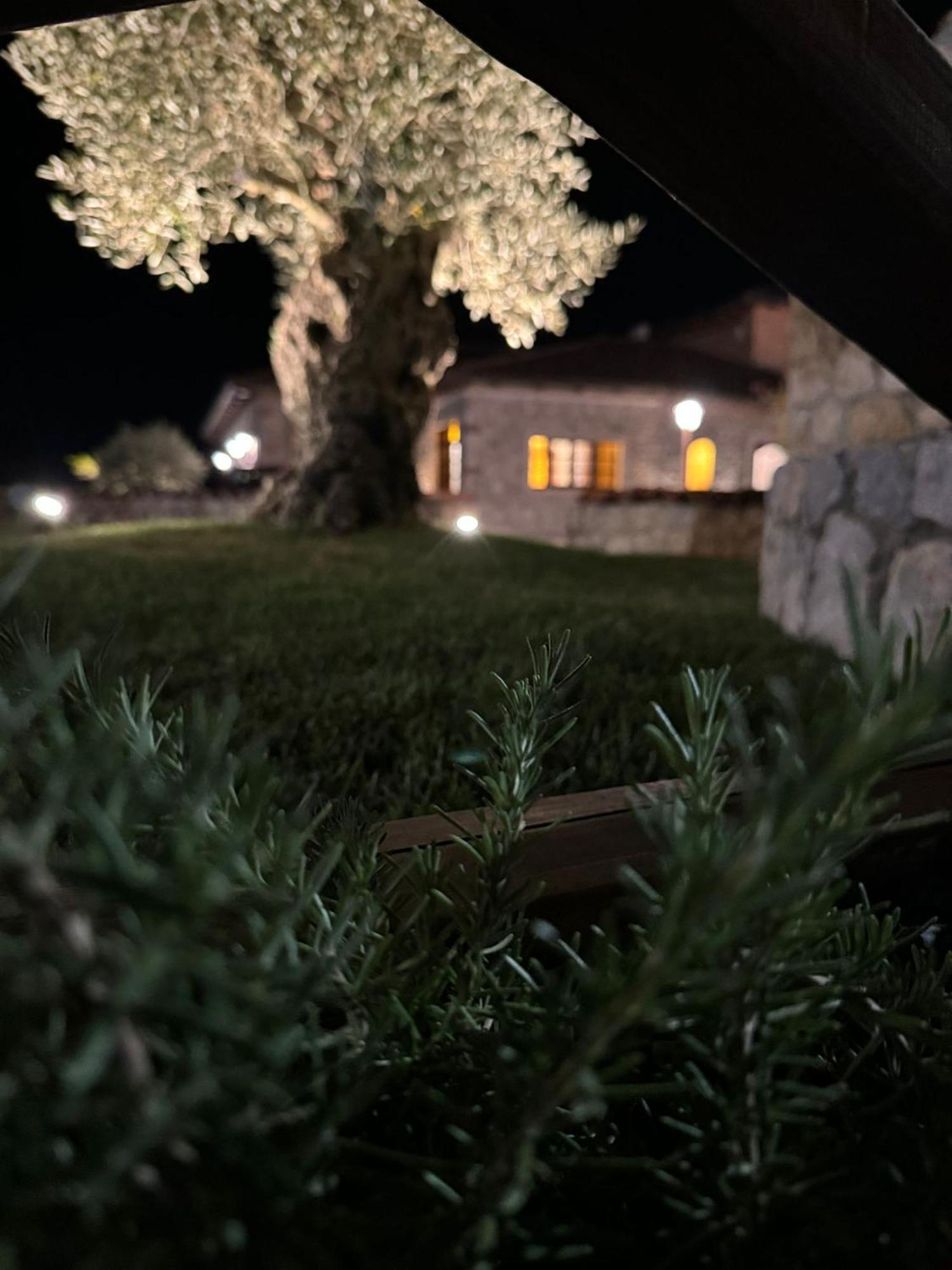 Tenuta Rosa - Gastronomia E Relax Montesano Scalo Buitenkant foto